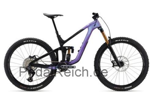 Pivot Mach 6  technische daten 